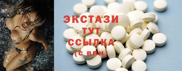 индика Михайловск