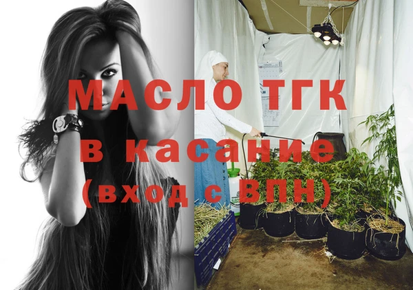 индика Михайловск