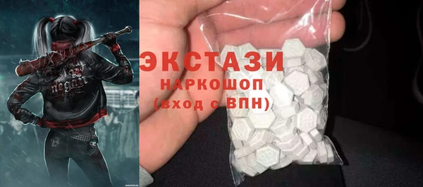 индика Михайловск