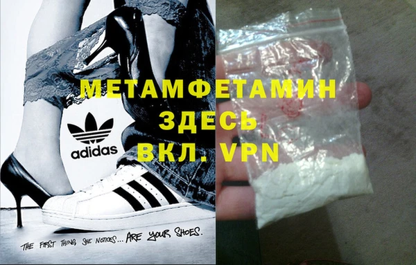 индика Михайловск