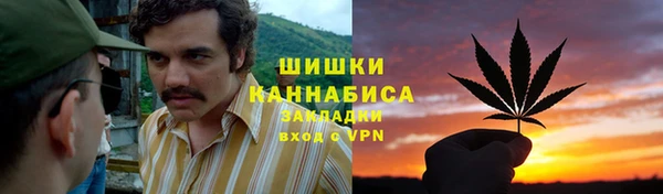 индика Михайловск