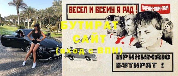 индика Михайловск
