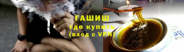 индика Михайловск