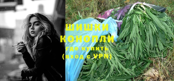 индика Михайловск