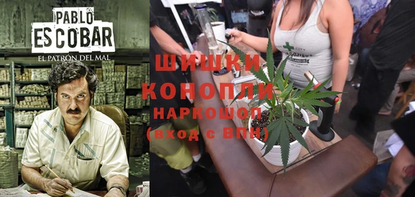 индика Михайловск