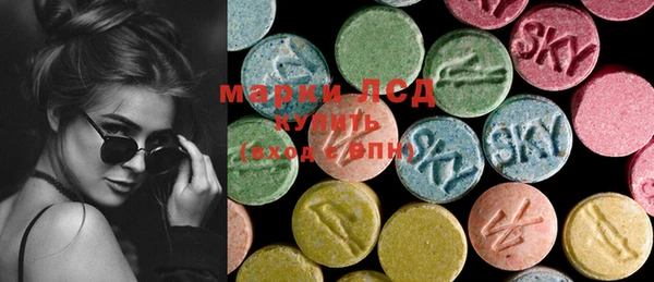 индика Михайловск