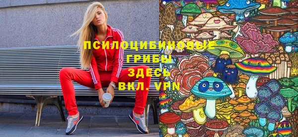 индика Михайловск