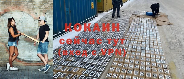 индика Михайловск