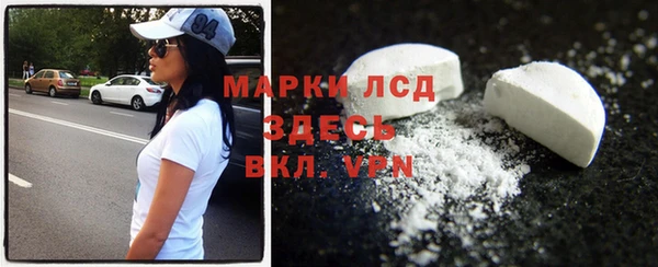 индика Михайловск