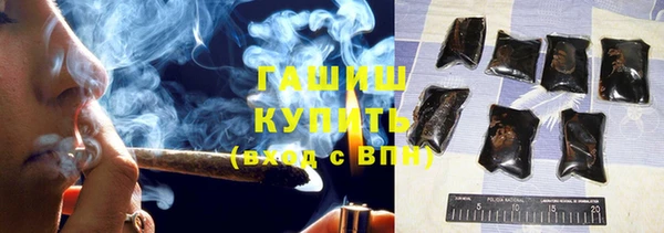 индика Михайловск