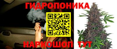 стафф Малоярославец
