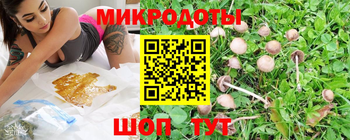 Псилоцибиновые грибы Cubensis  Вход с VPN  Серов 