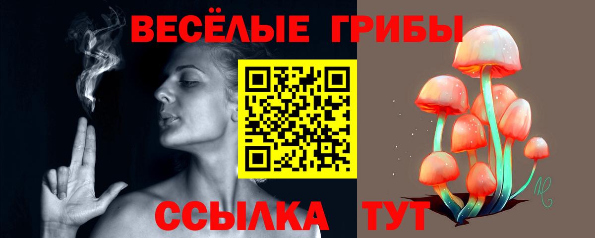Галлюциногенные грибы Cubensis Серов