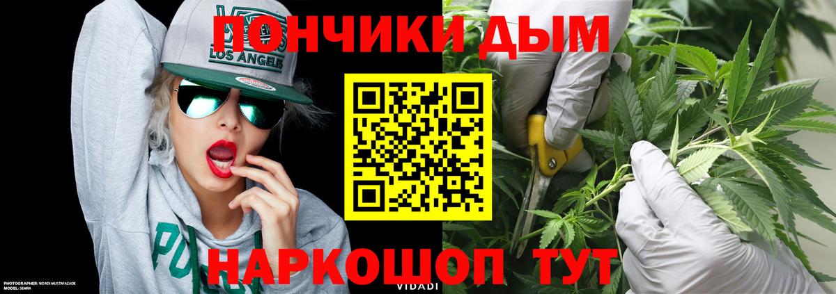 Серов  Бошки Шишки тримм  МАРИХУАНА сатива  Вход с VPN  Конопля конопля 